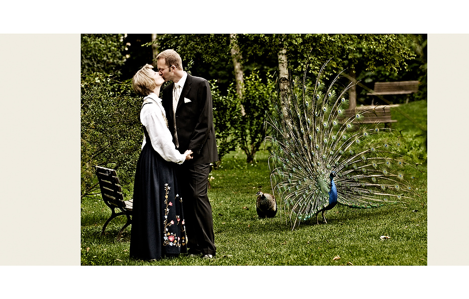17_brautpaar_mit_pfau.psd.jpg
